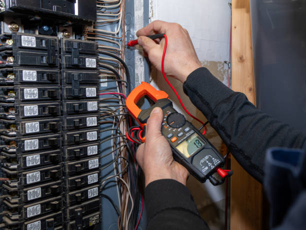 Best Electric Panel Repair  in Ontonagon, MI